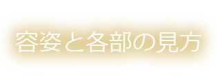 容姿と各部の見方