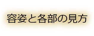 容姿と各部の見方