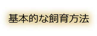 基本的な飼育方法