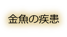 金魚の疾患